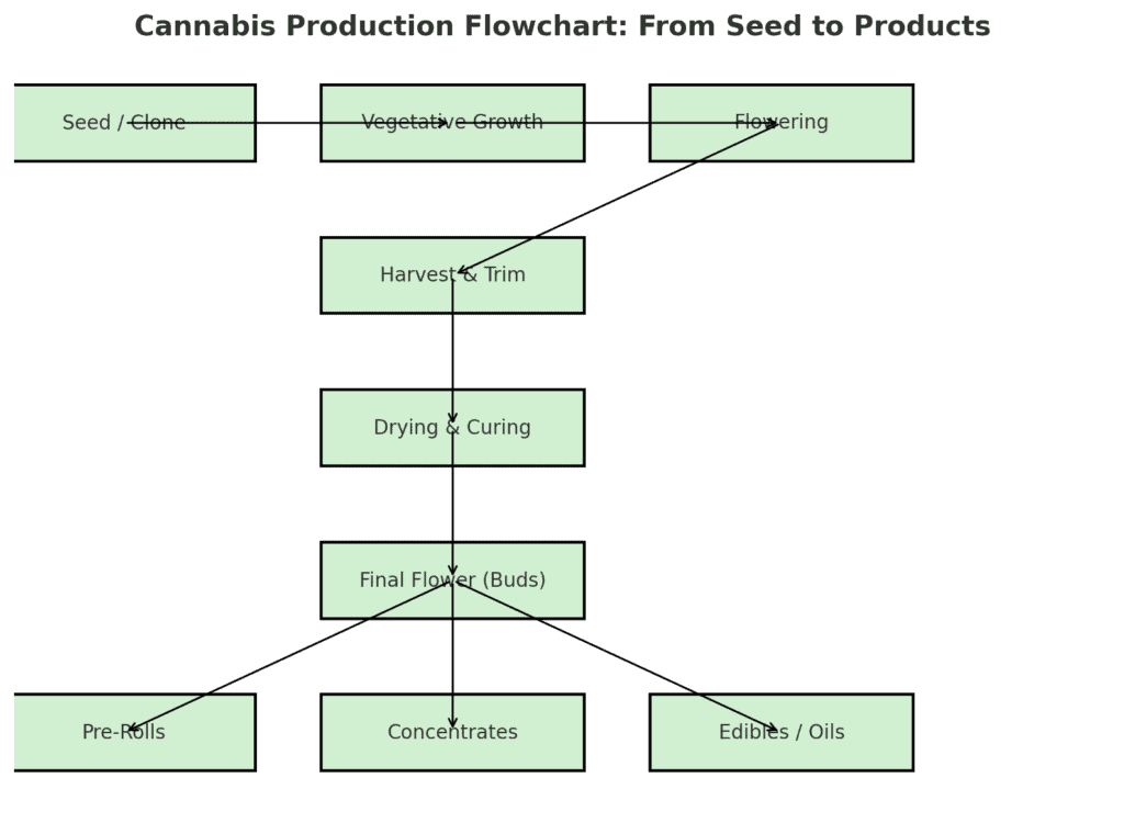 Seed to Products