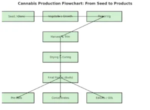 Seed to Products