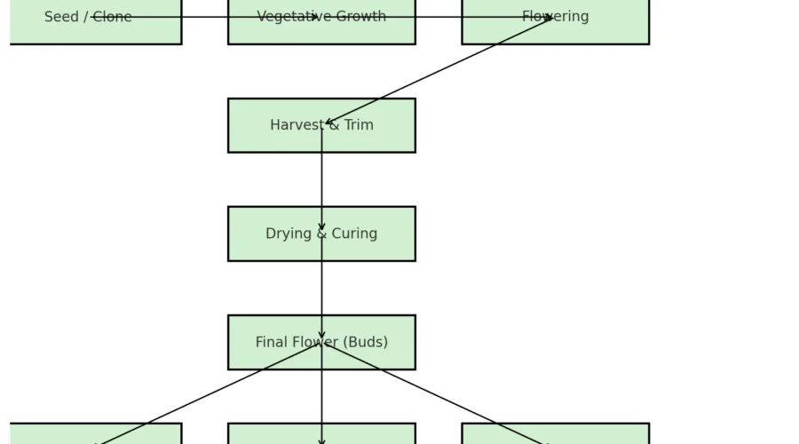 Seed to Products
