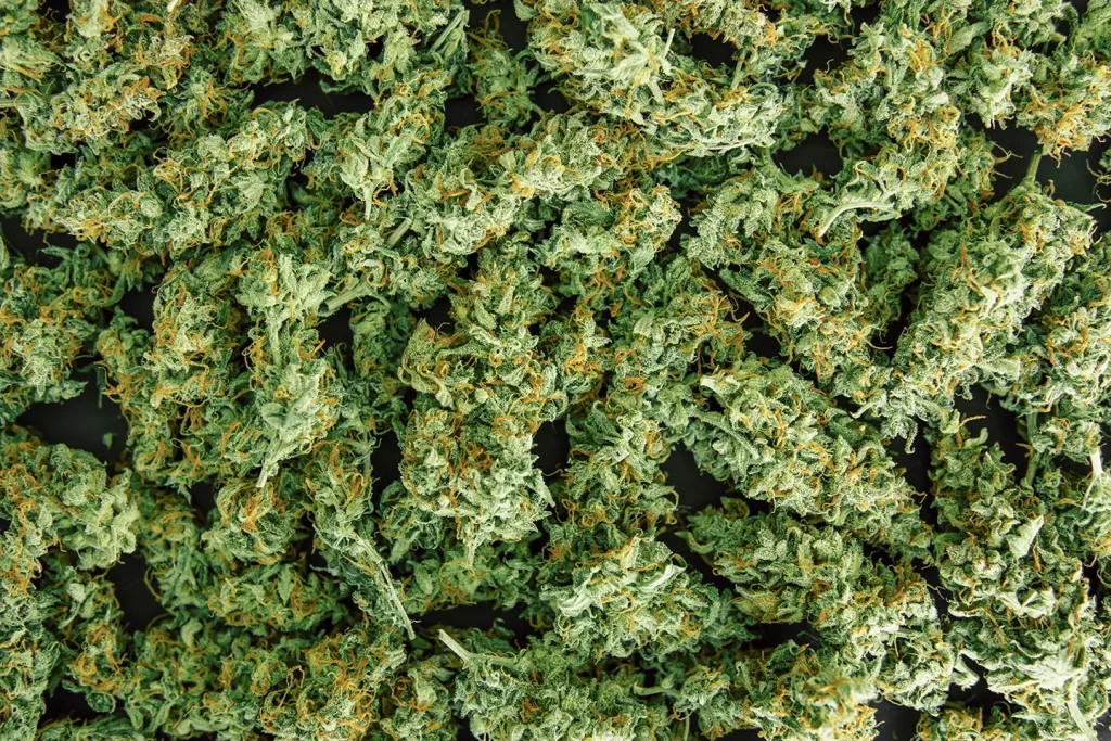 Pre-Rolls vs. Flower