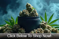 Flower Weed For Sale