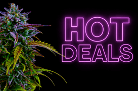 Cannabis For Sale Deals