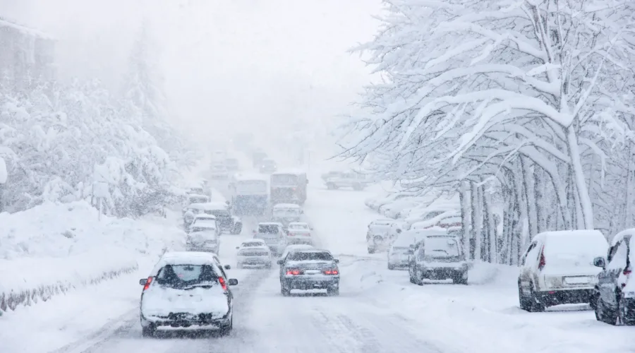2026 Snow Storm - Cannabis Delivery
