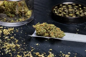Weed Delivery: Westchester, Bronx Yonkers