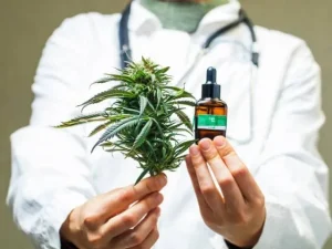Doctor holding a cannabis plant, representing medical cannabis