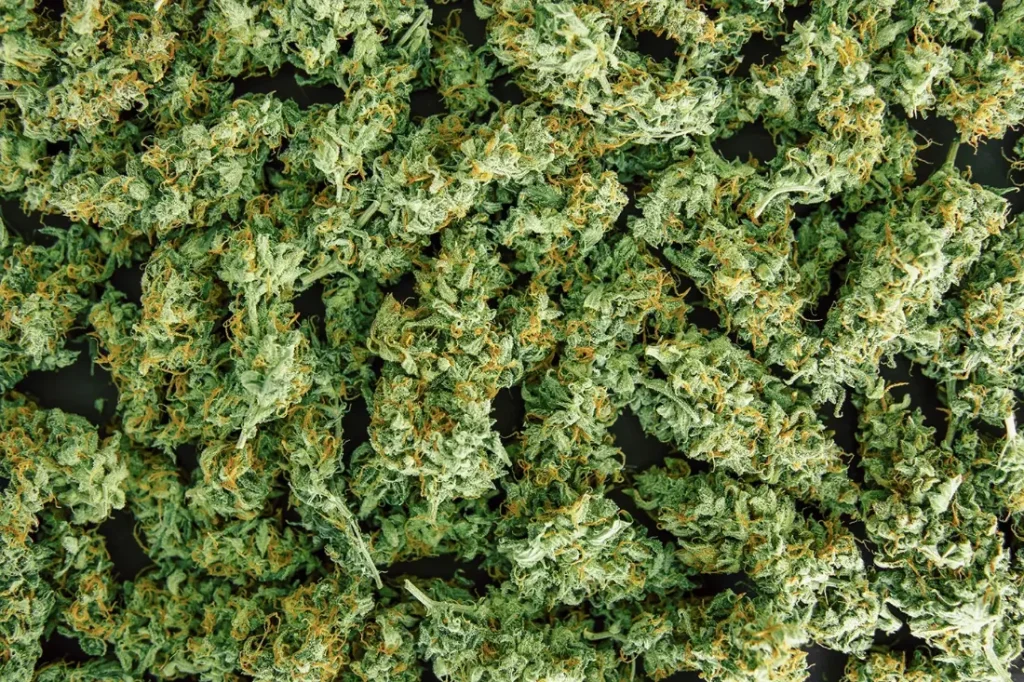 Pre-Rolls vs. Flower