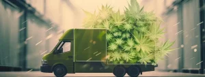 Which Dispensary Delivers Near Me