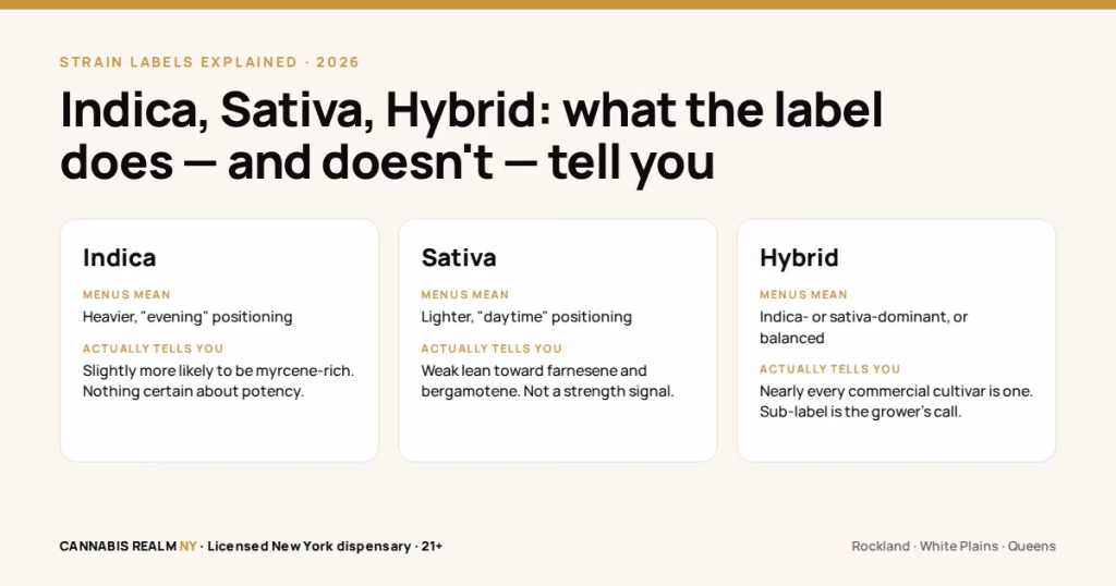 Indica, Sativa, Hybrid: What the Labels Mean in 2026 (and What Terpenes Tell You Instead)