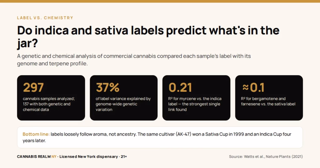 Statistics card summarizing the 2021 Nature Plants study on cannabis labeling: 297 samples analyzed with 137 having both genetic and chemical data; genome-wide genetic variation explained about 37 percent of label variance; myrcene had an R-squared of 0.21 against the indica label, the strongest single link; bergamotene and farnesene had R-squared values near 0.1 against the sativa label.