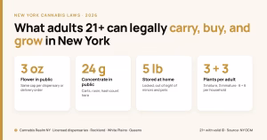 Explainer card: New York cannabis limits in 2026 for adults 21+. 3 oz of flower and 24 g of concentrate in public, up to 5 lb stored at home, and 3 mature plus 3 immature plants per adult (6 + 6 per household). Cannabis Realm NY, licensed dispensaries in Rockland, White Plains and Queens.
