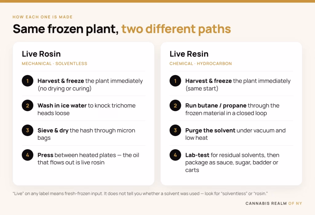 Step-by-step card showing how live rosin is made (harvest and freeze, ice-water wash, sieve and dry, press) versus live resin (harvest and freeze, butane/propane closed loop, vacuum purge, lab test) — Cannabis Realm of NY
