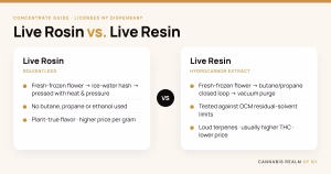 Live rosin vs. live resin comparison card: live rosin is solventless, made from fresh-frozen flower via ice-water hash and heat and pressure; live resin is a hydrocarbon extract tested against OCM residual-solvent limits — Cannabis Realm of NY